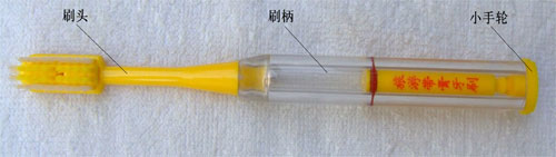 可充式旅行带膏牙刷